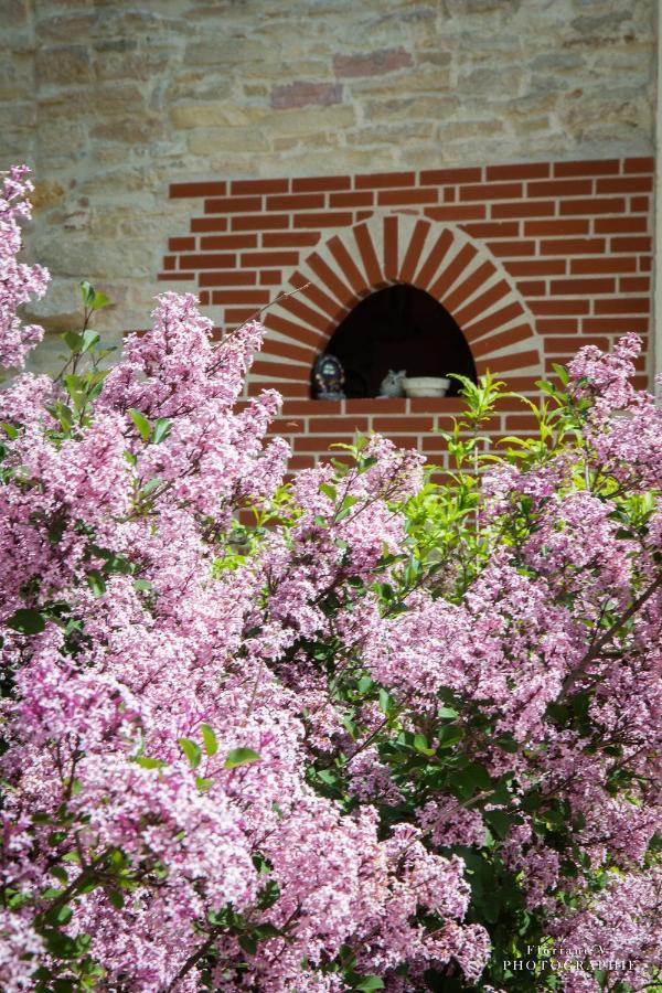 Aux Mesanges Bed and Breakfast Labergement-Foigney Εξωτερικό φωτογραφία